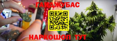 мяу мяу мука Кандалакша